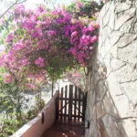The gate outside the Shimmy Shack